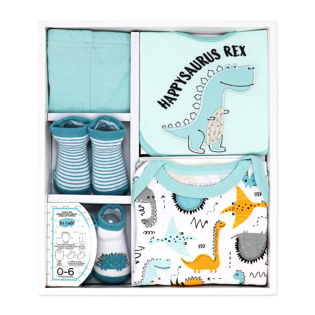5 Piece Baby Outfit Gift Set 0–6 Months – 100% Cotton